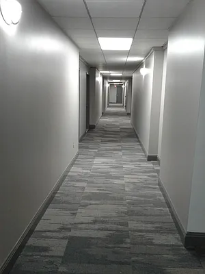 Rented by Voro New York | media 81