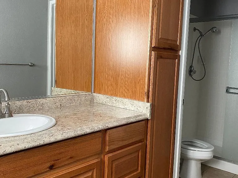Master Bedroom Sink