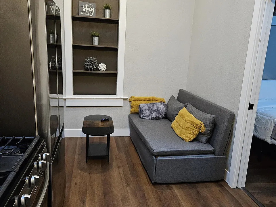 Twin pull out couch