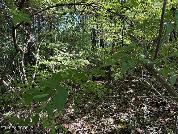 4th image of 0 Culpepper Rd