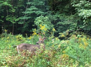 0 Ben Hale Rd, Waterford, ME 04088