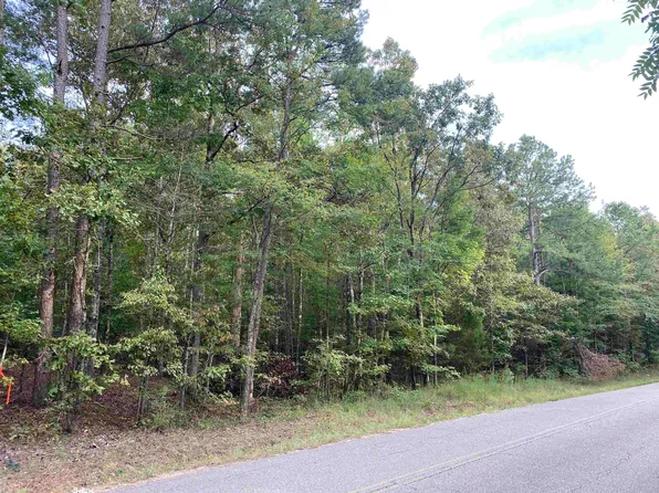0 Gann Rd Tract 3, Selmer, TN 38375