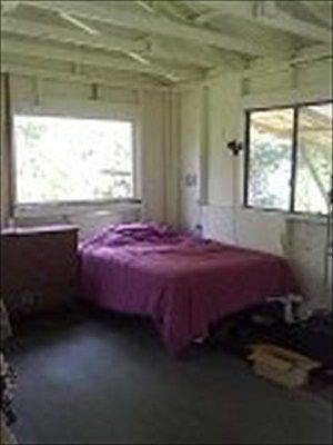 1st image of 11-2303 Jungle King Ave