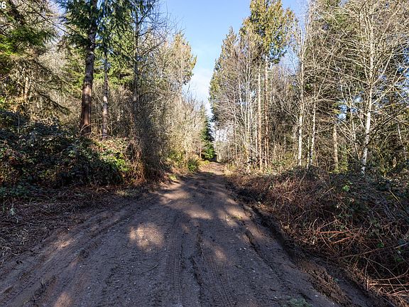 4th image of 71909 Apiary Rd