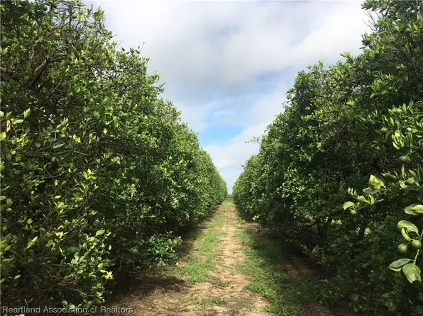 W Mann Rd, Frostproof, FL 33843
