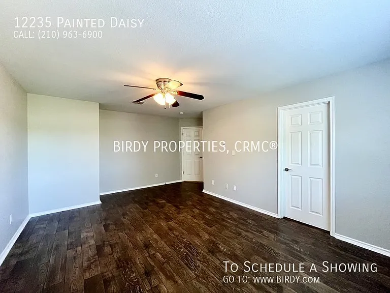 12235 Painted Daisy — Photo 25