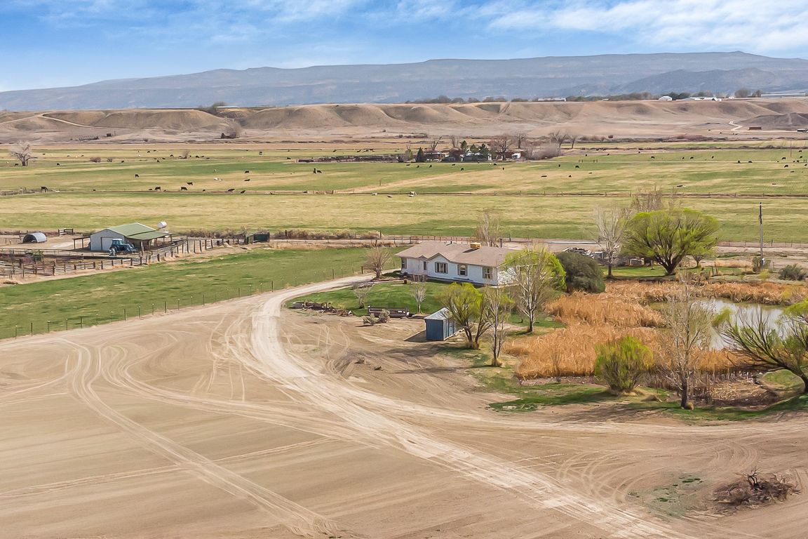 next background image