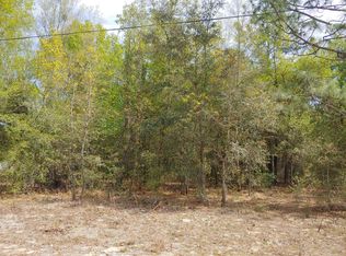 60 Marion Ave, Interlachen, FL 32148