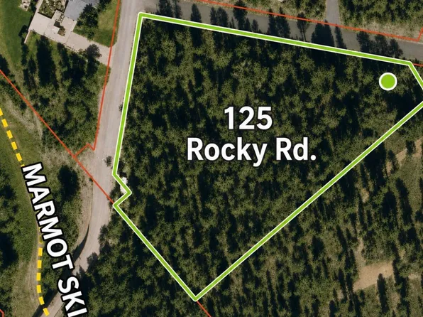 125 Rocky Rd, Telluride, CO 81435