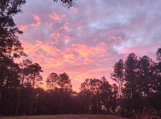 12864 SW 41st Pl, Ocala, FL 34481