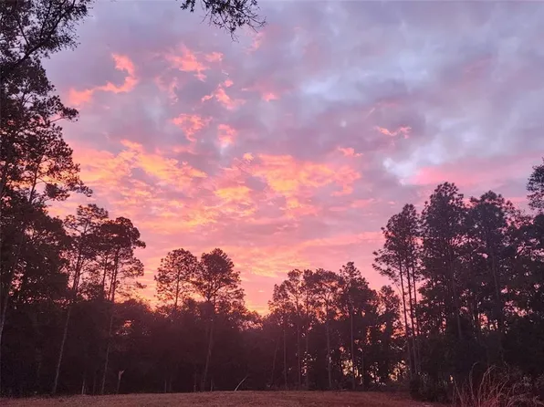 12864 SW 41st Pl, Ocala, FL 34481