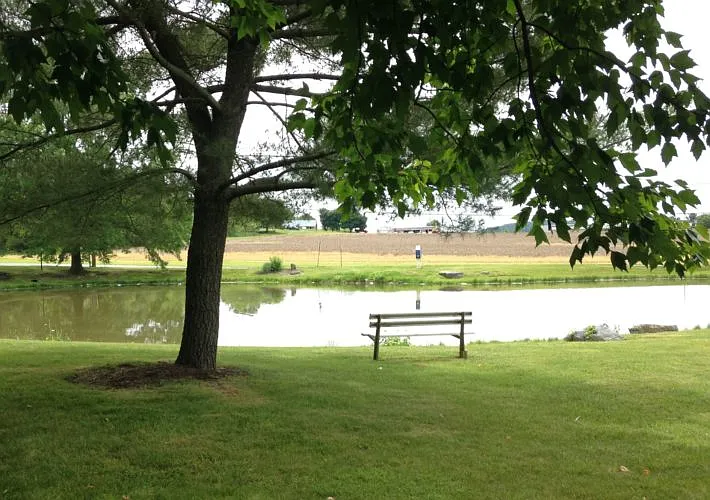 Meadows East — Photo 20