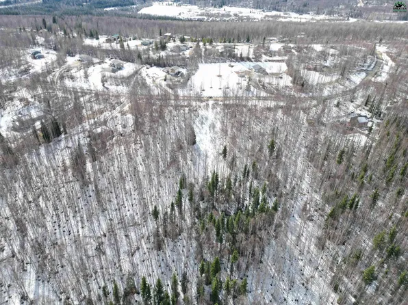 TRACT Birch Knoll Rd #C, Fairbanks, AK 99712