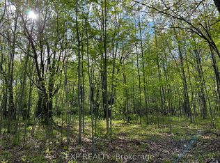 LOT 7 Casson Trl, Madawaska Valley, ON K0J1B0