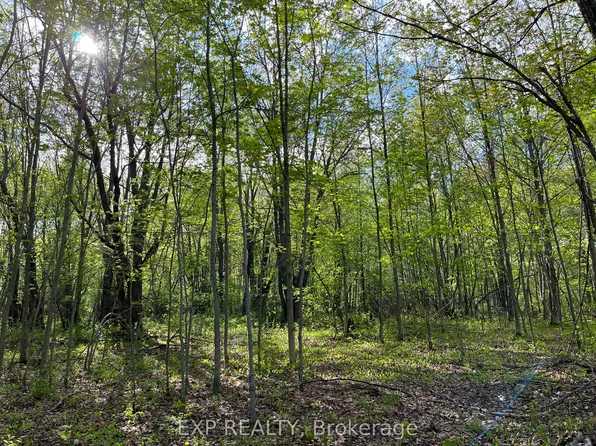 LOT 7 Casson Trl, Madawaska Valley, ON K0J 1B0