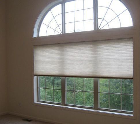 Wall of Windows in the Great Room