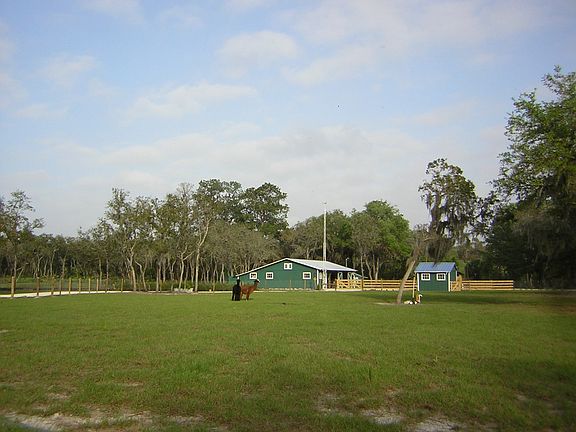 barn & pasture