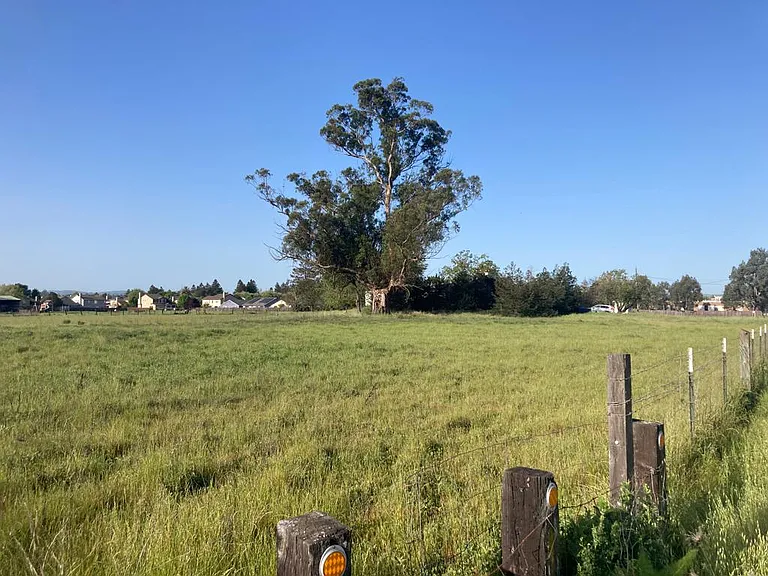 Land