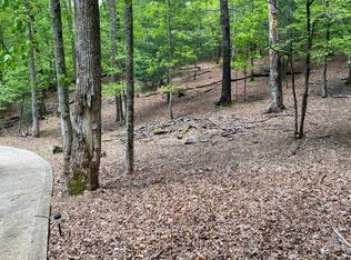L1855 Newport Dr, Ellijay, GA 30540