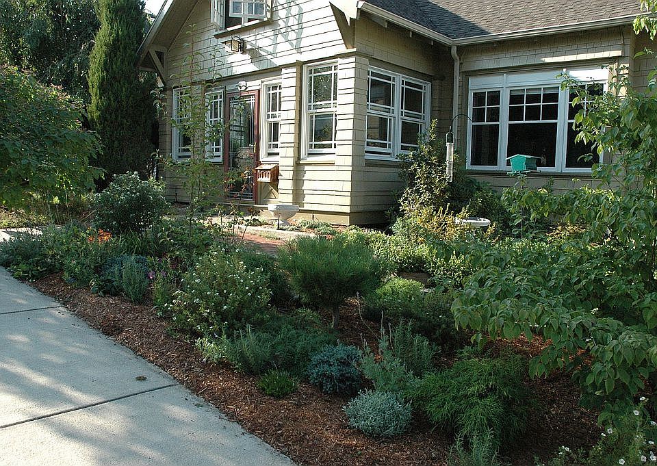 Front garden