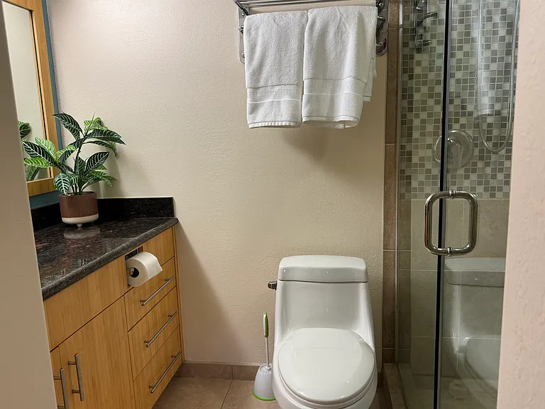 2695 S Kihei Rd — Photo 8