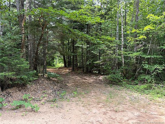 2nd image of 876 Green Rd