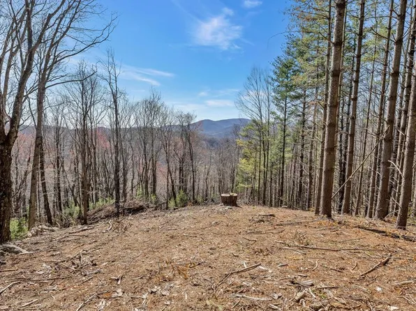 Tbd Highlands Pkwy, Mouth Of Wilson, VA 24363