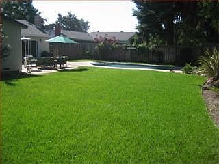 4th image of 7685 Wren Ave