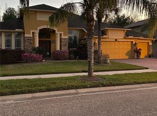 16346 Ivy Lake Dr, Odessa, FL 33556