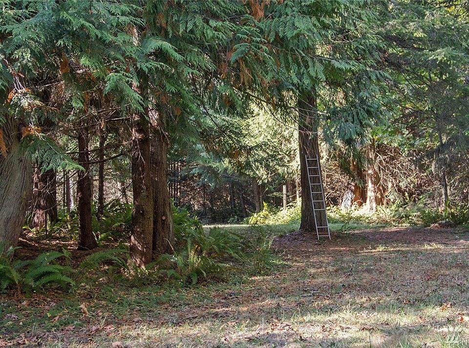 512 Meridian Way Chimacum, WA, 98325 Apartments for Rent Zillow