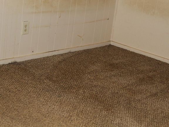 5th image of 303 Charley St