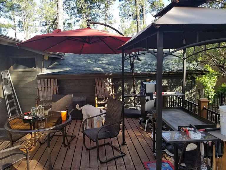 Kaibab Loop — Photo 18
