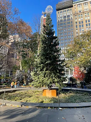 Rented by Nest Seekers International | media 9