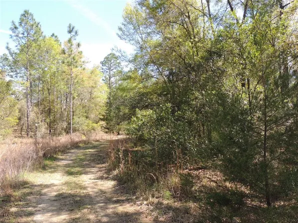 tbd NE 12TH LANE & 157TH TERRACE LOT 1, WILLISTON, FL 32696