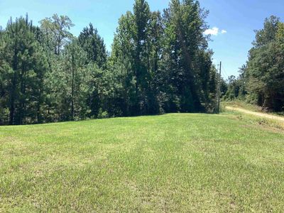 2.9 Jasper Rd, Dozier, AL, 36028