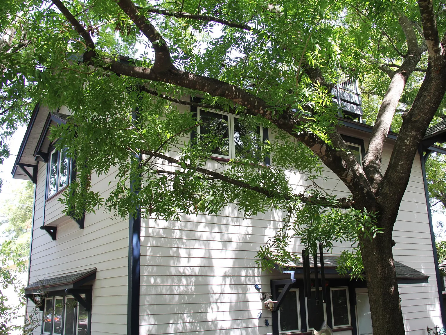 Studio, 525 sqft, $1,550 — Photo 1
