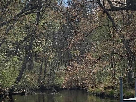 Backyard view- so peaceful!