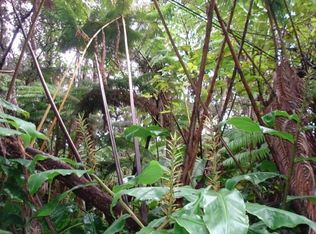 Ainahau Rd, Volcano, HI 96785