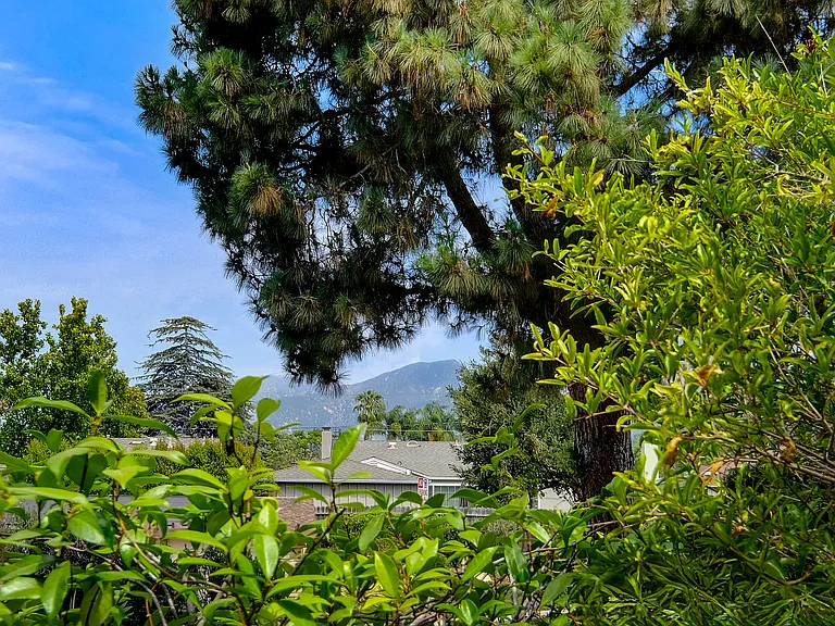 Mountain view from patio.