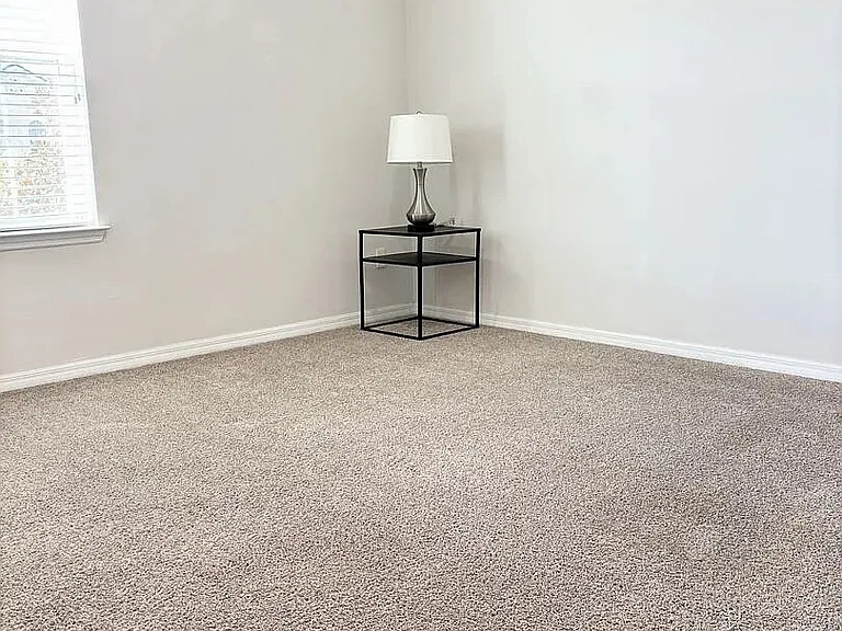 9017 Flamingo Key Way — Photo 12