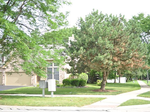 5th image of 443 Orleans Ave #443