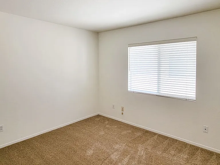 12138 Wooded Vista Ln — Photo 24