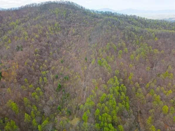0 Wares Gap Rd, Monroe, VA 24574