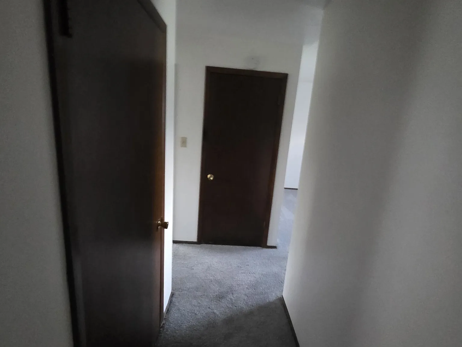 1 bed, 600 sqft, $1,195 — Photo 2