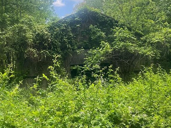 3rd image of 449 Doug Thompson Rd