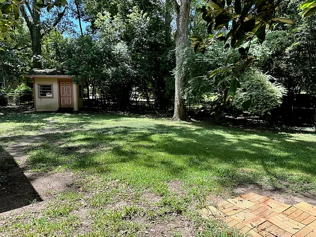 Backyard