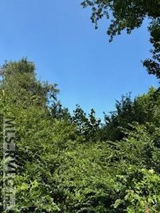 0 Vinson Mill Rd, Murfreesboro, NC, 27855