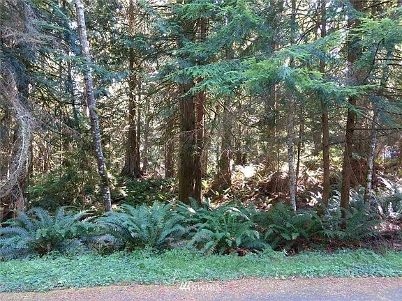 5th image of 2 Strawberry Canyon Ct