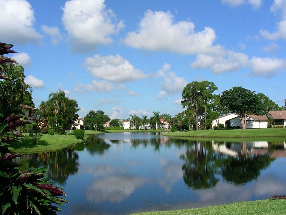 Community View