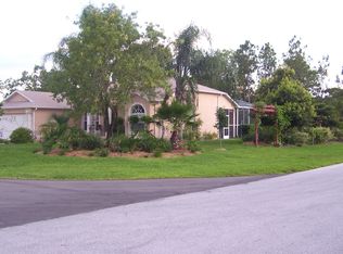 2333 Arrendonda Ave, Spring Hill, FL 34609